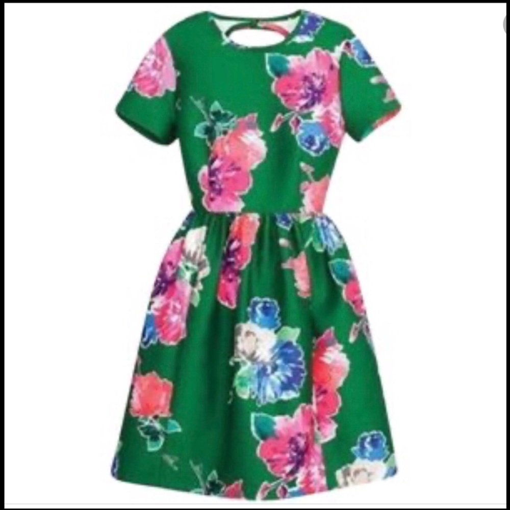 Kate Spade Stelli Floral Dress… Just Whimsical!